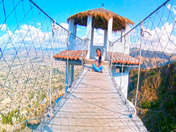 Canopy Ayacucho