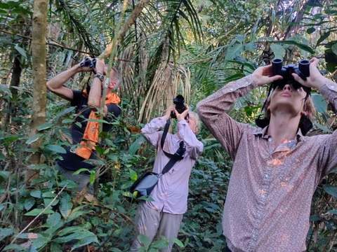 Amazon Jungle Expedition 4/ Days 3/ Nights