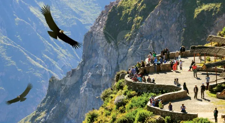 Cómo elegir el mejor tour al Cañón del Colca según tu presupuesto