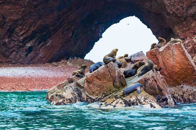 Tours a las Islas Ballestas: precios, horarios y recomendaciones